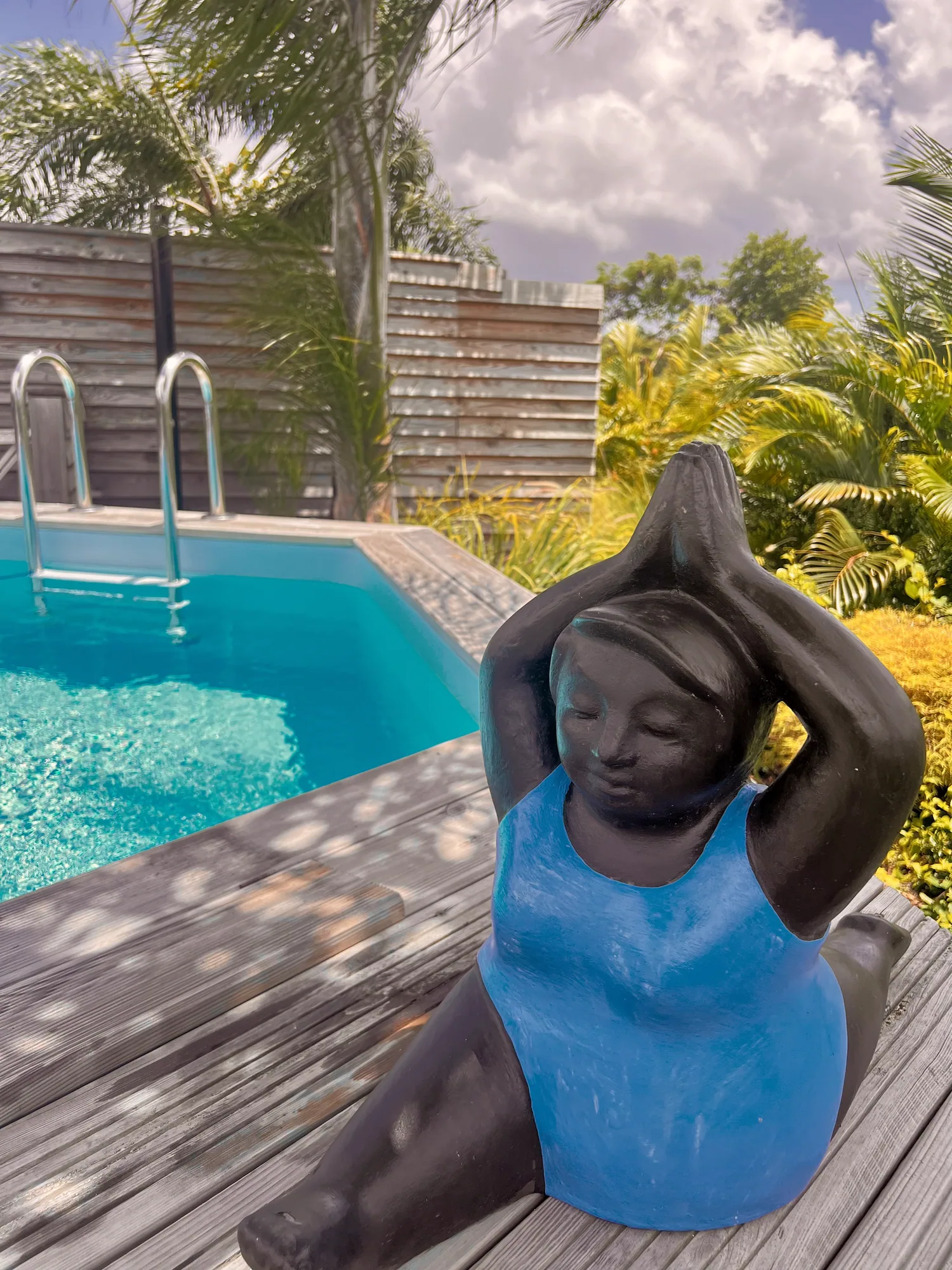 Piscine privée et terrasse en bois