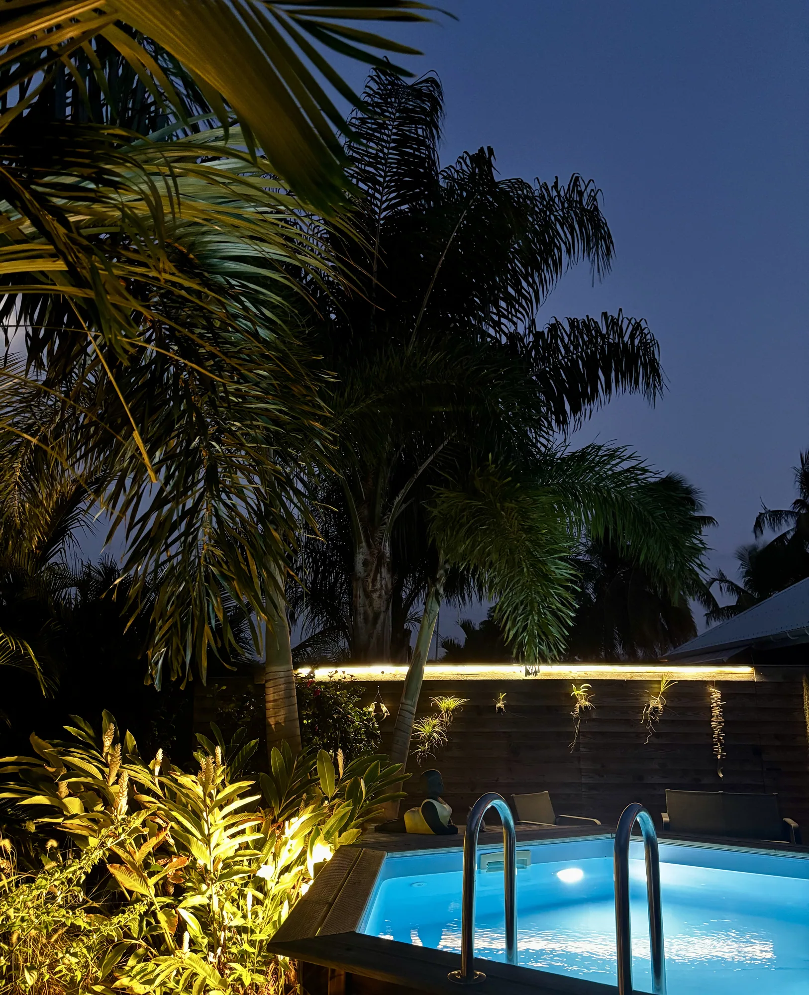 Jardin tropical éclairé autour de la piscine
