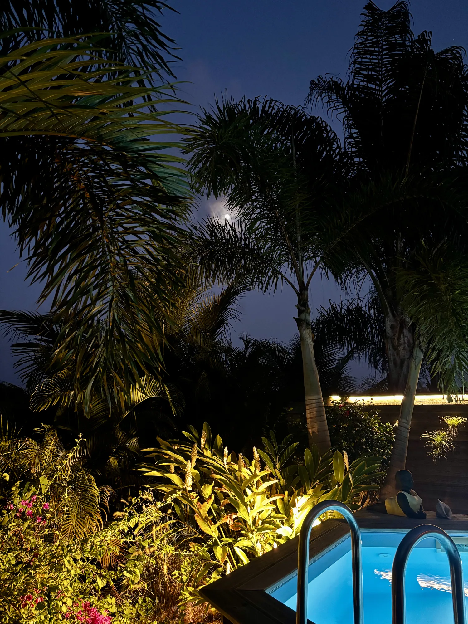 Ambiance nocturne au bord de la piscine privée
