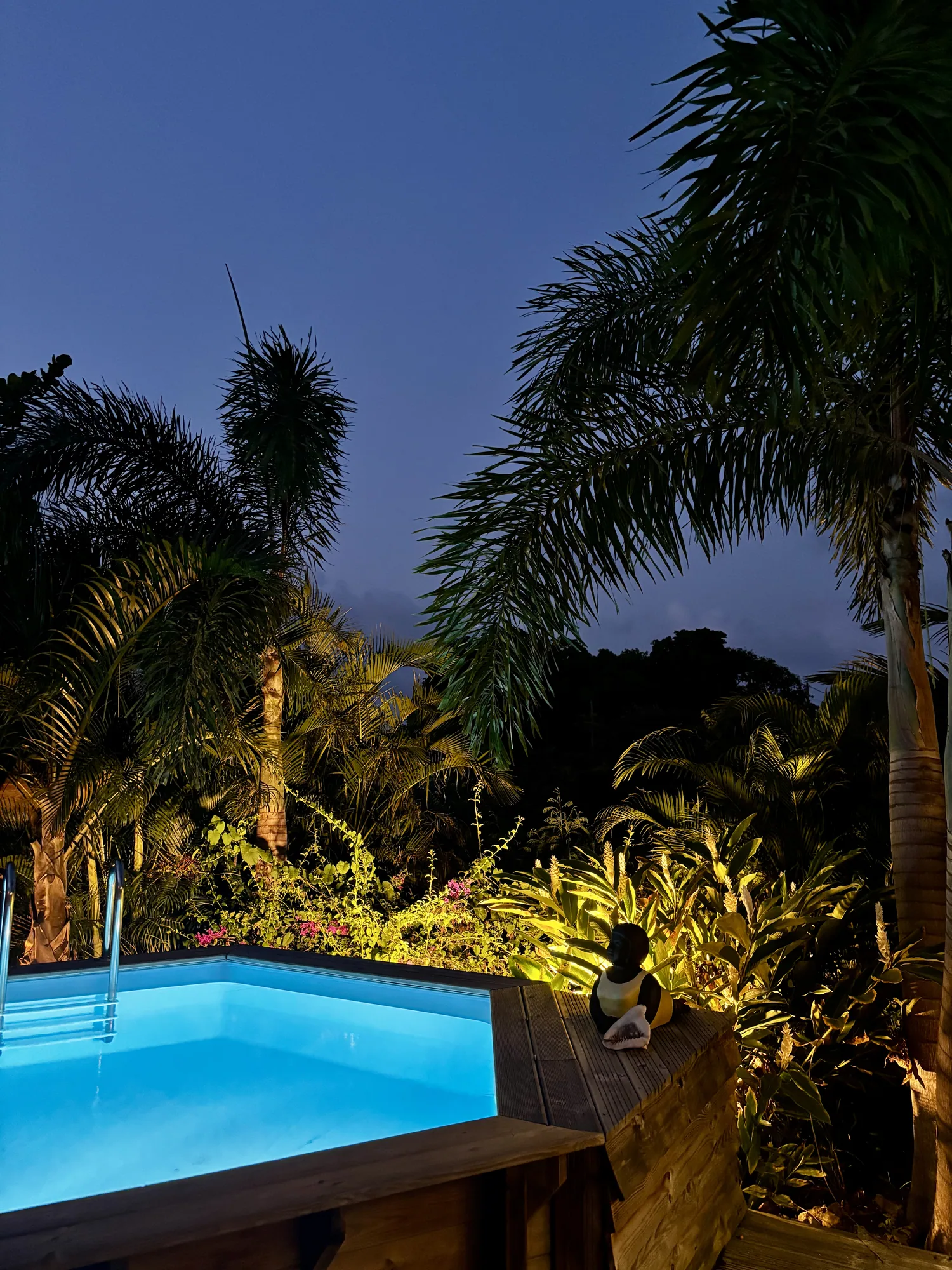 Ambiance de soirée autour de la piscine