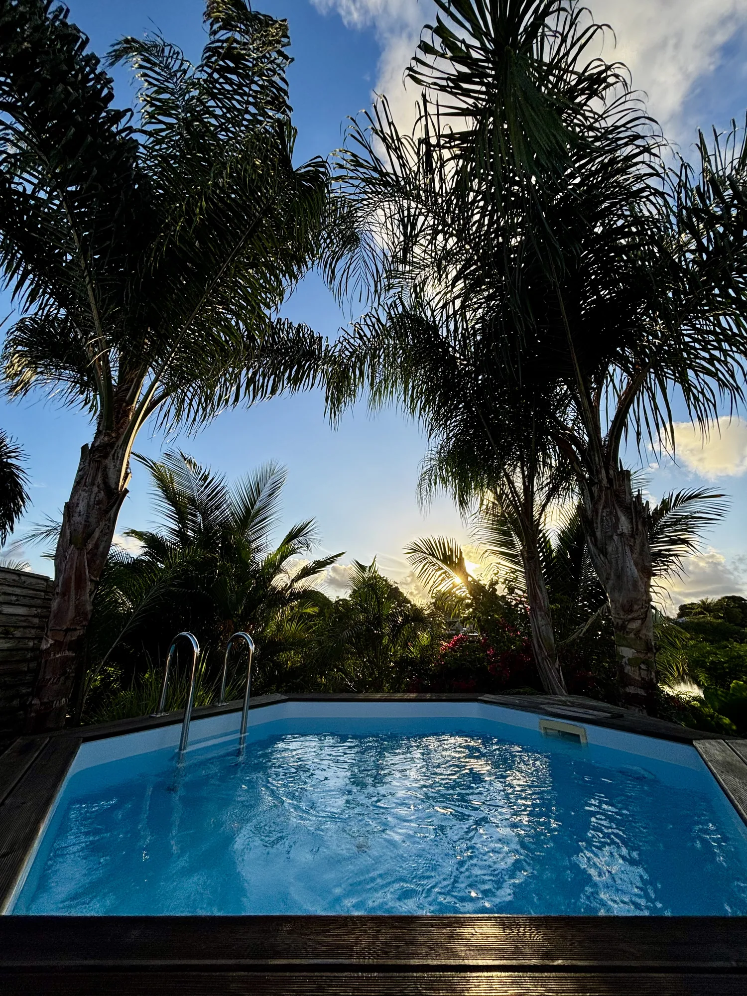 Palmiers et piscine en fin de journée