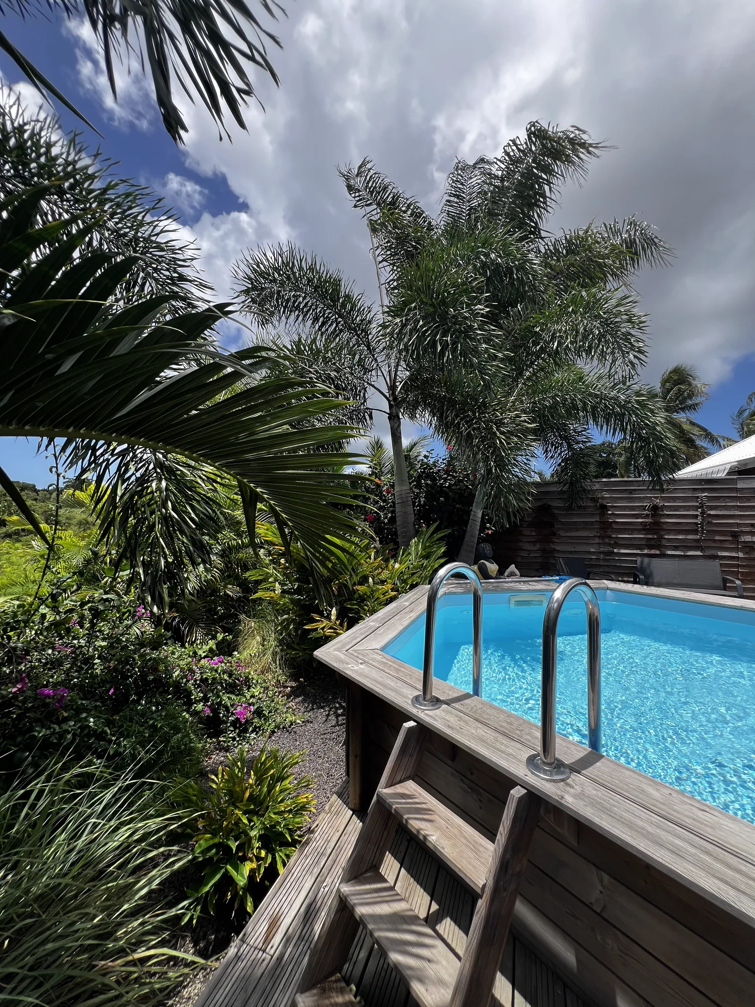Piscine privée bordée de jardin tropical