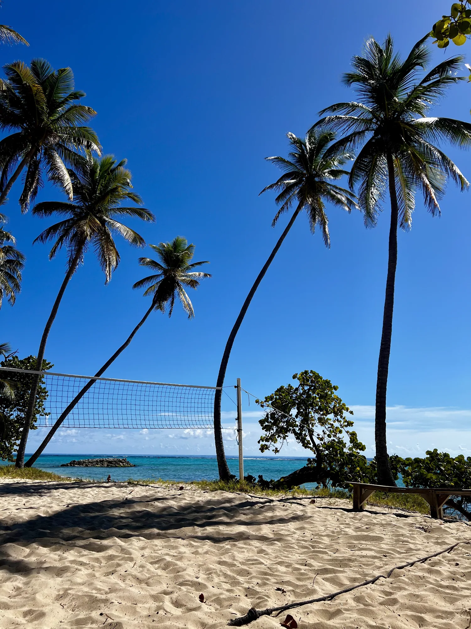 Terrain de beach-volley en bord de plage