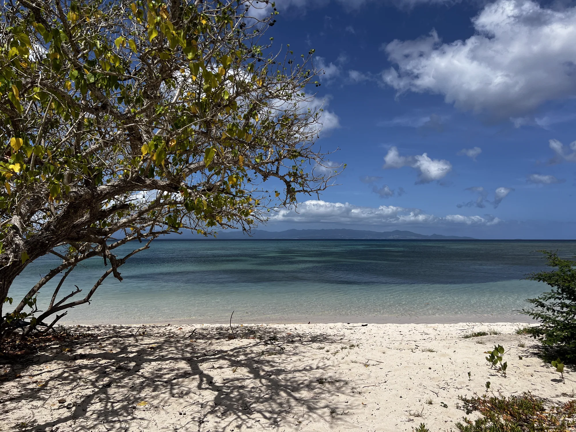 Plage face à la mer des Caraïbes