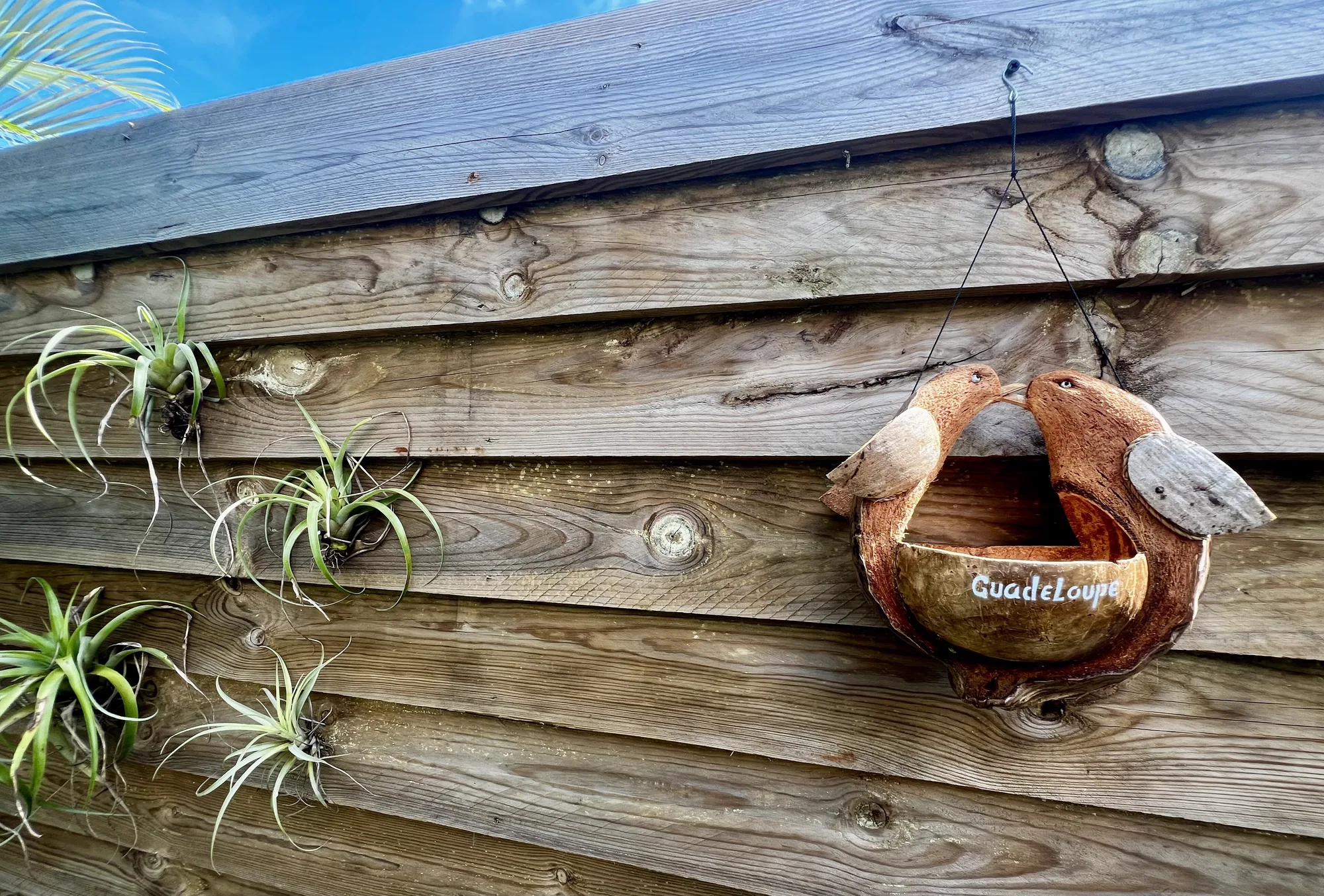 Décoration créole sur le bardage bois du jardinet